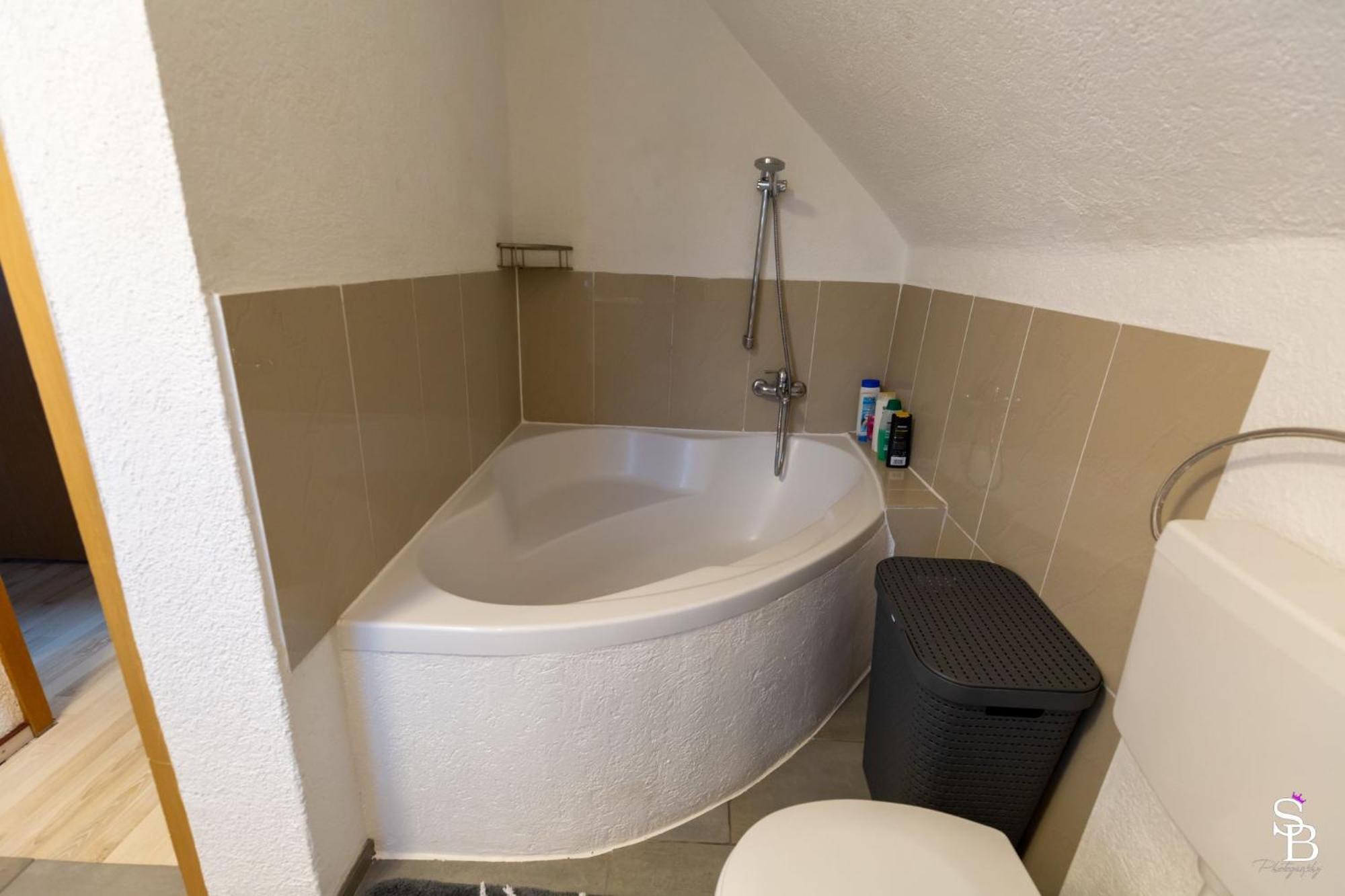 Hochrhein Ferienwohnung Albbruck Екстериор снимка